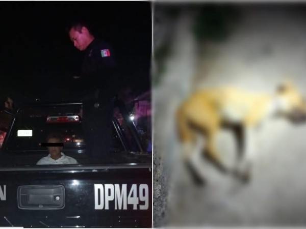 MATÓ A UN PERRITO A PUNTA DE&nbsp;TABLAZOS.