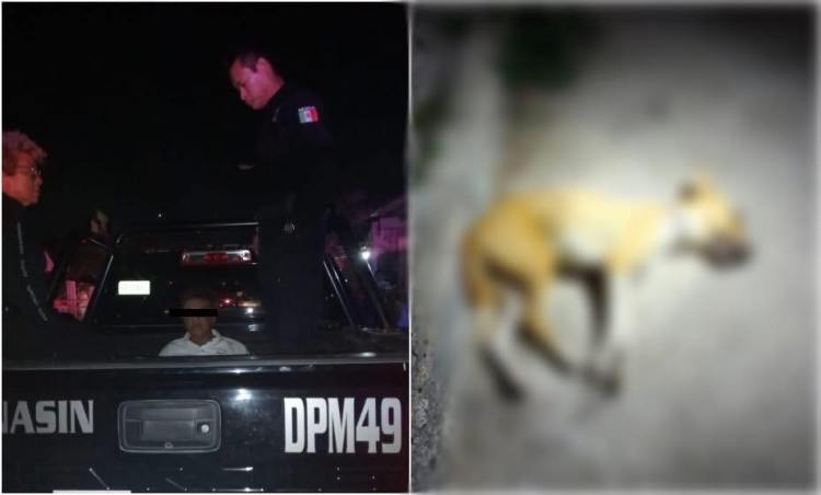 MATÓ A UN PERRITO A PUNTA DE&nbsp;TABLAZOS.